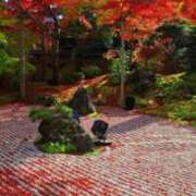 ヒメ日記 2025/12/05 07:45 投稿 神崎　今日子 Amateras～アマテラス～