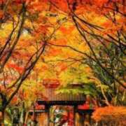 ヒメ日記 2025/12/12 07:45 投稿 神崎　今日子 Amateras～アマテラス～