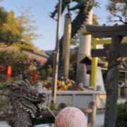 ヒメ日記 2025/12/18 07:45 投稿 神崎　今日子 Amateras～アマテラス～