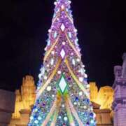 ヒメ日記 2025/12/23 07:45 投稿 神崎　今日子 Amateras～アマテラス～