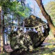 ヒメ日記 2026/01/29 07:45 投稿 神崎　今日子 Amateras～アマテラス～