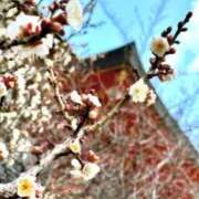 ヒメ日記 2026/02/25 07:45 投稿 神崎　今日子 Amateras～アマテラス～