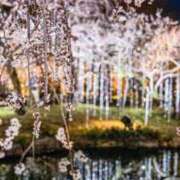 神崎　今日子 おはようです Amateras～アマテラス～