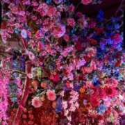 ヒメ日記 2026/03/11 07:45 投稿 神崎　今日子 Amateras～アマテラス～