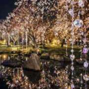 ヒメ日記 2026/03/13 07:45 投稿 神崎　今日子 Amateras～アマテラス～