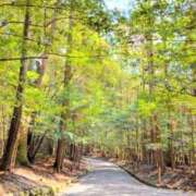 ヒメ日記 2026/03/27 07:45 投稿 神崎　今日子 Amateras～アマテラス～