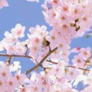 ヒメ日記 2026/04/08 07:45 投稿 神崎　今日子 Amateras～アマテラス～