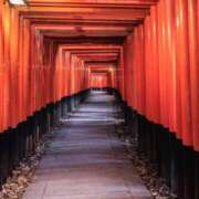 ヒメ日記 2026/05/08 07:45 投稿 神崎　今日子 Amateras～アマテラス～