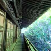 ヒメ日記 2026/06/04 07:45 投稿 神崎　今日子 Amateras～アマテラス～