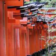 神崎　今日子 おはようです Amateras～アマテラス～