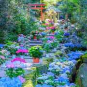 ヒメ日記 2026/06/23 07:45 投稿 神崎　今日子 Amateras～アマテラス～