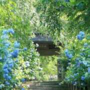 ヒメ日記 2026/06/24 07:45 投稿 神崎　今日子 Amateras～アマテラス～