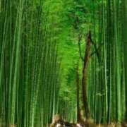 ヒメ日記 2026/06/30 07:45 投稿 神崎　今日子 Amateras～アマテラス～