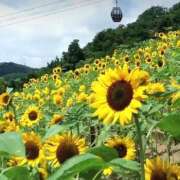 ヒメ日記 2026/08/13 07:45 投稿 神崎　今日子 Amateras～アマテラス～