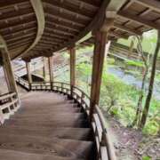 ヒメ日記 2026/09/15 07:45 投稿 神崎　今日子 Amateras～アマテラス～