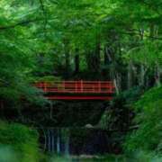 神崎　今日子 おはようです Amateras～アマテラス～