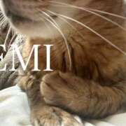 ヒメ日記 2025/03/13 23:07 投稿 渡辺　恵未 Amateras～アマテラス～