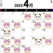 ヒメ日記 2025/03/24 08:55 投稿 渡辺　恵未 Amateras～アマテラス～