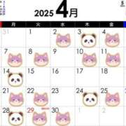 ヒメ日記 2025/04/02 07:26 投稿 渡辺　恵未 Amateras～アマテラス～