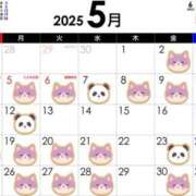 ヒメ日記 2025/04/25 07:21 投稿 渡辺　恵未 Amateras～アマテラス～