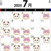 ヒメ日記 2025/06/29 06:20 投稿 渡辺　恵未 Amateras～アマテラス～