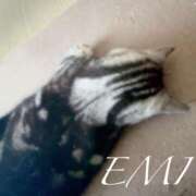 ヒメ日記 2025/09/10 20:39 投稿 渡辺　恵未 Amateras～アマテラス～