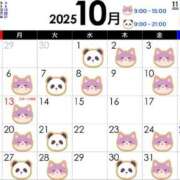 ヒメ日記 2025/09/25 08:31 投稿 渡辺　恵未 Amateras～アマテラス～