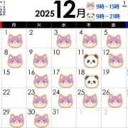 ヒメ日記 2025/11/25 22:25 投稿 渡辺　恵未 Amateras～アマテラス～