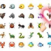 ヒメ日記 2025/12/11 14:32 投稿 渡辺　恵未 Amateras～アマテラス～