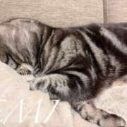 ヒメ日記 2026/04/08 07:12 投稿 渡辺　恵未 Amateras～アマテラス～