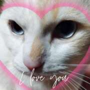 ヒメ日記 2024/12/10 14:33 投稿 本上 西船橋おかあさん