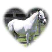 ヒメ日記 2024/12/14 15:16 投稿 本上 西船橋おかあさん