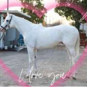 ヒメ日記 2024/12/17 11:27 投稿 本上 西船橋おかあさん