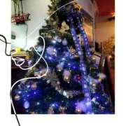 ヒメ日記 2024/12/17 13:50 投稿 本上 西船橋おかあさん