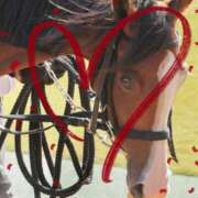 ヒメ日記 2024/12/23 12:27 投稿 本上 西船橋おかあさん