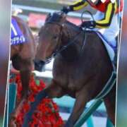 ヒメ日記 2024/12/25 17:25 投稿 本上 西船橋おかあさん