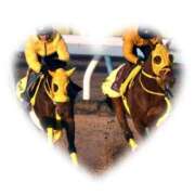 ヒメ日記 2024/12/26 10:53 投稿 本上 西船橋おかあさん