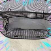 ヒメ日記 2024/12/29 19:40 投稿 本上 西船橋おかあさん