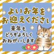 ヒメ日記 2024/12/31 20:03 投稿 本上 西船橋おかあさん