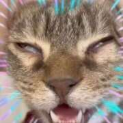 ヒメ日記 2025/01/05 14:17 投稿 本上 西船橋おかあさん