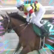 ヒメ日記 2025/01/05 18:24 投稿 本上 西船橋おかあさん