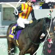 ヒメ日記 2025/01/23 08:41 投稿 本上 西船橋おかあさん