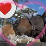 ヒメ日記 2025/01/24 19:02 投稿 本上 西船橋おかあさん