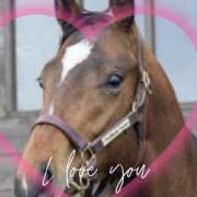 ヒメ日記 2025/01/26 11:11 投稿 本上 西船橋おかあさん