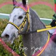 ヒメ日記 2025/02/02 12:52 投稿 本上 西船橋おかあさん