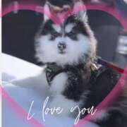 ヒメ日記 2025/02/06 11:04 投稿 本上 西船橋おかあさん