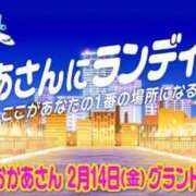 ヒメ日記 2025/02/13 17:07 投稿 本上 西船橋おかあさん