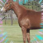 ヒメ日記 2025/02/13 17:56 投稿 本上 西船橋おかあさん