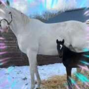 ヒメ日記 2025/02/13 21:39 投稿 本上 西船橋おかあさん