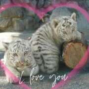 ヒメ日記 2025/02/22 22:04 投稿 本上 西船橋おかあさん